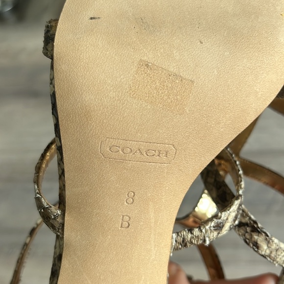 Coach Hayden Snakeskin Kitten Heels NWT No Box Size 8 - Picture 6 of 7
